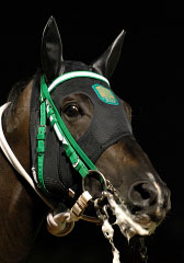 ショーターザトッシ080107_3