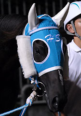 ディーエスビバーチェ070507_1