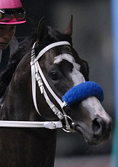 キングスゾーン072407