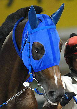 ジェイドロボス071107_2