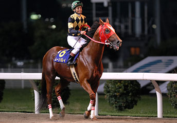 ムーンバレイ072407