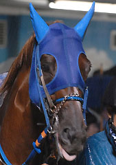 ライラプス070407