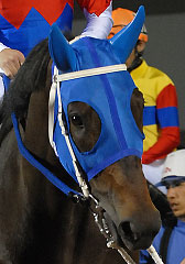 スターオブジェンヌ051107