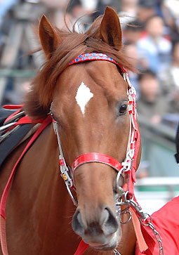 オフィサー041506