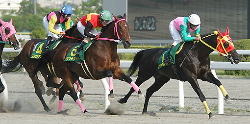 サクラハーン050505_2