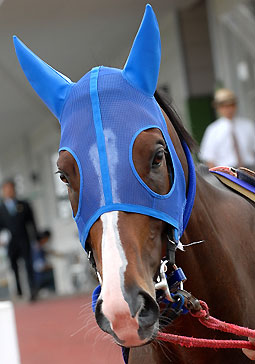 モエレトレジャー071706