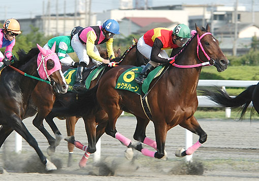 サクラハーン050505_3