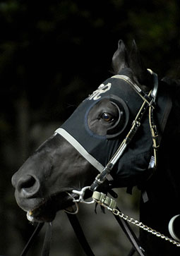 ミステリアスアート080907_1