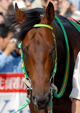 ベルモントファラオ050506_1