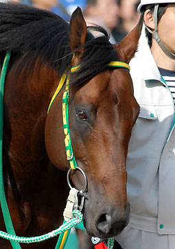 ベルモントファラオ050506_2