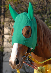 010507r8konopironeel01