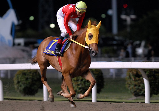 カネショウバナナ061307_2