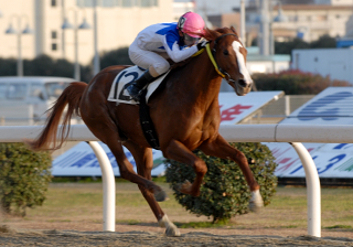 010507r8konopironeel03