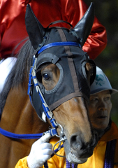 010507r11dentallight