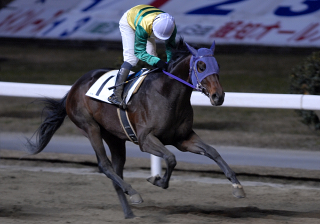 010507r11goldensean02