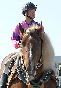 ヒカリニセイ043007