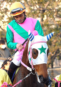 ベルモントノーヴァ012407