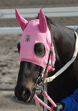 ファインドロップ050307