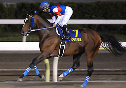 シーチャリオット052307大井記念