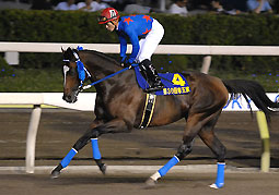 シーチャリオット062707帝王賞