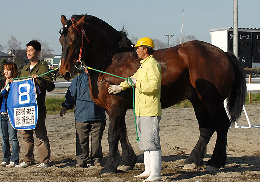 キリンオー043007＿2