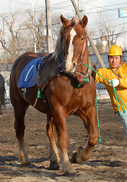 シュンライズ031707