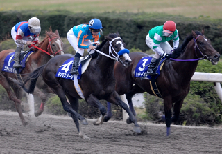 112206浦和記念１周目