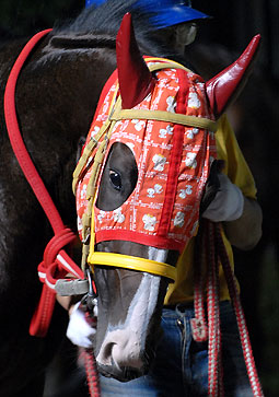 ダブルアーチャー061307_1