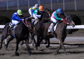 010407r11zamamarberous