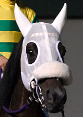 トロットテイオー080807