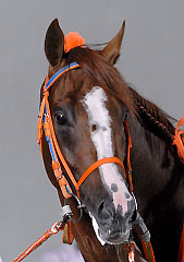 シゲフジオペラ080807