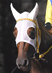 ホウコウフジ080807