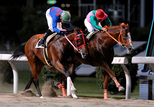 シゲフジオペラ ハルクホース080807