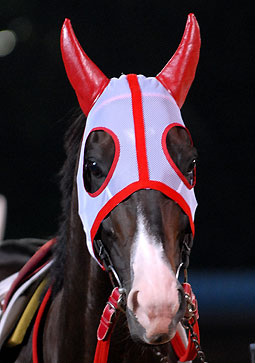 イシノサヴァント070307