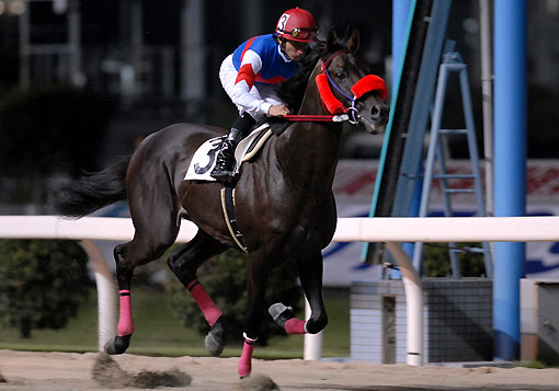 プライベートエリア080907