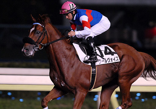 クールヴィス080307