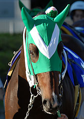 ミウラリチャード102506