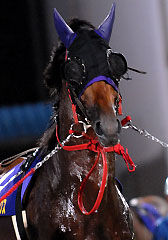 マルヨフェニックス071107