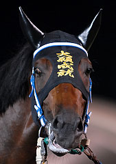 タイガンジョウジュ071107