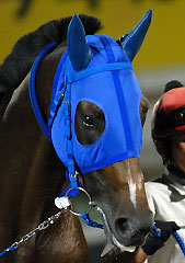 ジェイドロボス071107