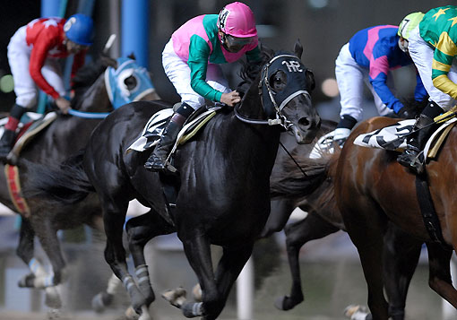 ミステリアスアート080907