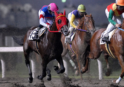 ワタリウインド070407_6th