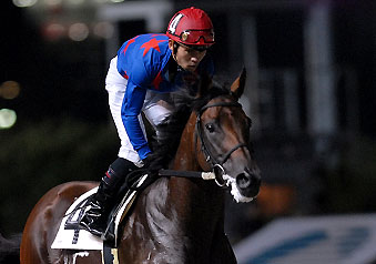 ダスティーサマー080907