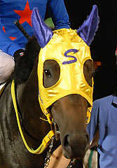 キョウエイジェイド071207