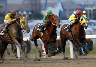 010207godlenhorsechallenge