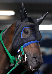 マルカンジョオー070407