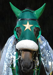 シーホアン051007_1