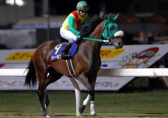 シーホアン061307_2