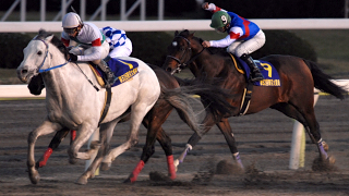 122906Adjudimitsuo01