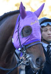 122906Adjudimitsuo02